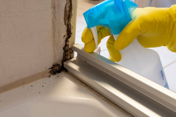 Best Residential Mold Inspection & Testing  in Venus, TX