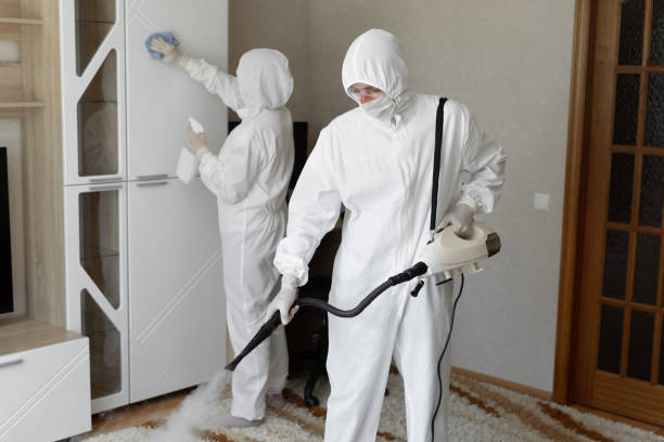 Best Biohazard Mold Removal  in Venus, TX